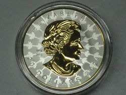 Kanada 20 Dollar 2024 Maple Leaf Super Incuse Reverse Proof