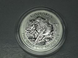 Kanada 5 $ Bison 2013 Silber 1 Unze